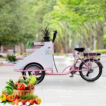 Наем на пратката наем автомат плодоовощ хранене electric за зеленчуков три колела на Велосипеда на пратката Новия Модел с Кошница в продажба